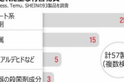 【韓国】中国激安ブランド「SHEIN」子供用靴から基準値428倍超の有害物質を検出！