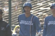 日ハム石井一成2安打1打点　セカンド開幕スタメン最有力か