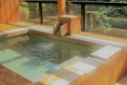 温泉、ガチで身体によかった。一週間毎日入るだけで腸内細菌が最強になる模様