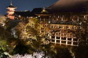 清水寺で春の夜間特別拝観に合わせたライトアップ試験点灯、実施するのか・・・