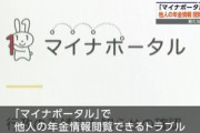 マイナンバーさん､今度はマイナポータルで他人の年金情報が閲覧できてしまい炎上ｗｗｗｗ