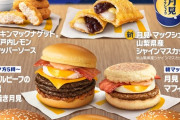 マクドナルド、月見バーガー9月3日発売　8年ぶりにリニューアル