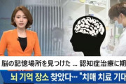 韓国人「国内製薬・バイオ産業の現実」