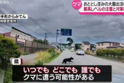 クマ大量出没のおそれ…「いつでも」「どこでも」「誰でも」クマと遭遇する可能性あり　最高レベルの注意呼びかけ　秋田県