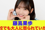 【日向坂46】藤嶌果歩、高校でも大人に怒られていたｗ【ひなパレ】【新・日向坂ミュージックパレード】