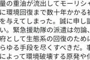 鳩山由紀夫｢モーリシャス重油流出事故、原発や化石燃料から自然エネルギーへ転換を急げ｣