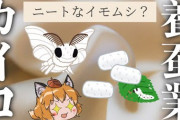 【悲報】カイコとかいう虫、あまりにも哀れすぎる‥‥
