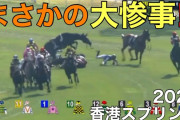 【香港許すまじ】ピクシーナイト、左橈側手根骨板状骨折の模様