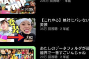 【悲報】フワちゃん、芸能活動休止中にファンコミュニティでイキってしまい流出