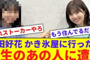 【2月22日の人気記事10選】 ストーカー松田好花、かき氷屋に行ったら野生のあの人… ほか【乃木坂・櫻坂・日向坂】