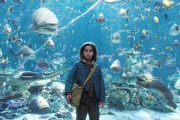 【衝撃】ASDの子供に魚や動物が寄ってくる謎の現象が話題に→同じ体験をした人がめちゃくちゃいる模様