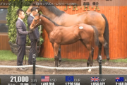 【セレクトセール2025】キングズハーレクイーンの2025(父キタサンブラック)が21,000万円で落札　他