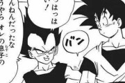 【ドラゴンボール】ベジータパパ「どうやら俺の息子のほうが血統がよかったらしいっ（ｳｷｳｷ」