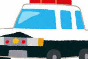 【悲報】男さん、警察の車を攻撃してしまう・・・