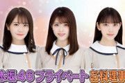 【乃木坂46】「ドリームバイト」、堀ちゃんがお猿を買ってる店が…w