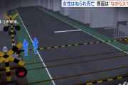 【悲報】歩きスマホの女の子、踏切内だと気づかずスマホ操作を続けて電車にはねられてしまう