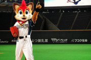 日本のプロ野球チーム、強い動物の一角である熊を使ったチームがない