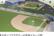【朗報】筒香子どもたちへ2億円の自前球場設立w.w.w.w.w.w.w.ww.w.w.w.w.w