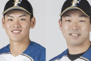 【公示】日ハム野村、宇佐見が登録抹消