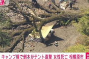 【速報】キャンプ夫婦、テントで寝てたら倒木の下敷きになり妻が死亡
