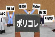レースクイーンとかモデルとかがポリコレに仕事奪われていく様子をみるとさ…