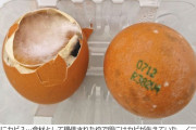 これぞ韓国クオリティ　～　【世界スカウトジャンボリー】韓国のキャンプで配布の「ゆで卵」、殻をむいたら中に黒いモノが…