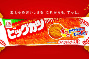 ビッグカツ「40円でカツが食えます」←これが軽視されてる理由w