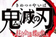 「鬼滅の刃 柱合会議・蝶屋敷編」放送決定！新規映像やスペシャルエンドロールなどが追加された特別編集版！！
