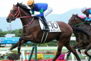 【悲報】モーリス産駒唯一の勝ち馬　カイザーノヴァ連闘…