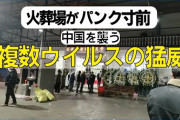 中国を襲う複数ウイルスの猛威 ・・・ネットユーザー 「身近な若い人が急死している」 「周囲の人が次々と亡くなっていて不安だ」 「これはまだ始まりにすぎないのでは」[2/20]