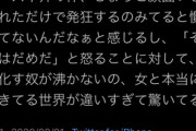 Twitter女性「ちんさんはちょっとチー牛煽りされたくらいで発狂しすぎw」