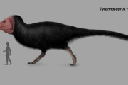 【画像】最新のティラノサウルスの復元イメージ図ｗｗｗｗｗｗｗｗｗｗｗ