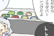 【ウマ娘】サラダバートレーニングにいくぞ、ミラ子！！