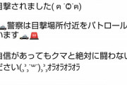 福島のクマ出現のメール緊張感無さすぎて草