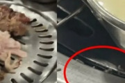 鉄板にうじ虫がうようよする映像…韓国料理のイメージ悪化に飛び火？＝韓国  [朝一から閉店までφ★]