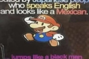 【朗報】マリオさん、全ての人種をカバーする最強のポリコレキャラだった！