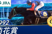 ライスシャワーがミホノブルボンの三冠阻んだ時の競馬板の空気どうだったの？