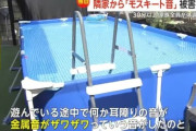 【悲報】隣人にモスキート音流して体調不良にさせたニュース、なぜか全て消される・・・