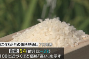 【朗報】米穀安定供給確保支援機構「安心して！コメの値段は落ち着く。しばらく値上げは無い」