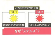 【悲報】オミクロン株、さらに変異してとんでもないパワーを手に入れる