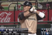 日ハム王柏融(3年目) .244 8本 44打点 OPS.782