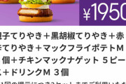 【画像】このマックのセットを30分以内に完食できたら1万円貰える