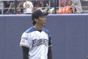 【オープン戦vs巨人】日ハム浦野、飛翔…