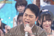 テレビでもみかにゃんが可愛すぎる件