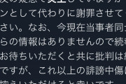 【悲報】ホロライブファンが何故か謝罪「炎上していますが、代わりに謝罪させてください」