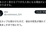 【悲報】「胸を小さく見せる下着」、弱男からの犯罪予告で販売中止に？弱男に対する批判であふれ返るｗｗｗｗ