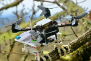 【動画あり】米スタンフォード大、鳥のように木に止まれるドローンを開発