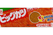 今駄菓子のビックカツ食ってたんだけどさ・・・・・・・
