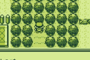 【画像】初代ポケモン木がミートボールに見えてたやつｗｗｗｗ