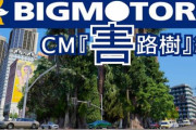 ビッグモーター、自社をいじるパロディCMが投稿されたため著作権侵害で削除→「権利を主張すんな」と言われてしまう・・・